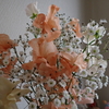 3月6日・・・