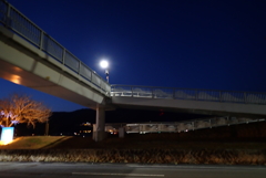 田舎町の歩道橋・・・