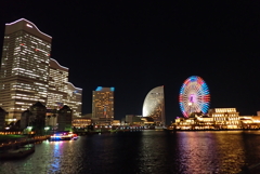 初めて見た・・・