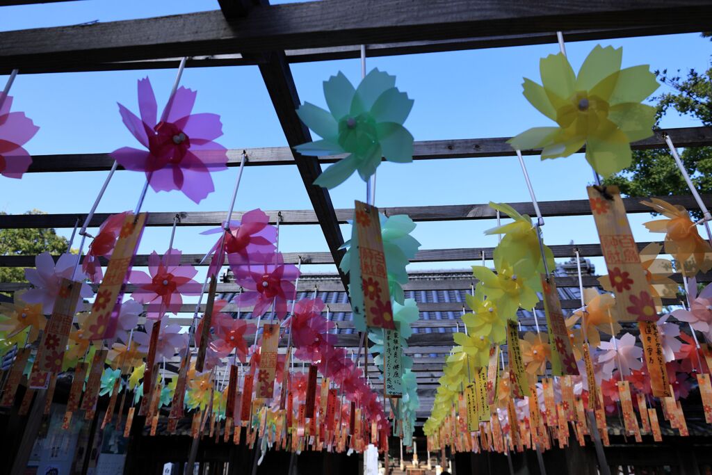 秋桜風車・・・