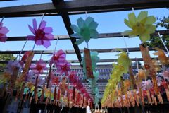 秋桜風車・・・ 秋桜風車・・・