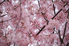 気持ちも明るく・・・