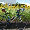 愛車と向日葵