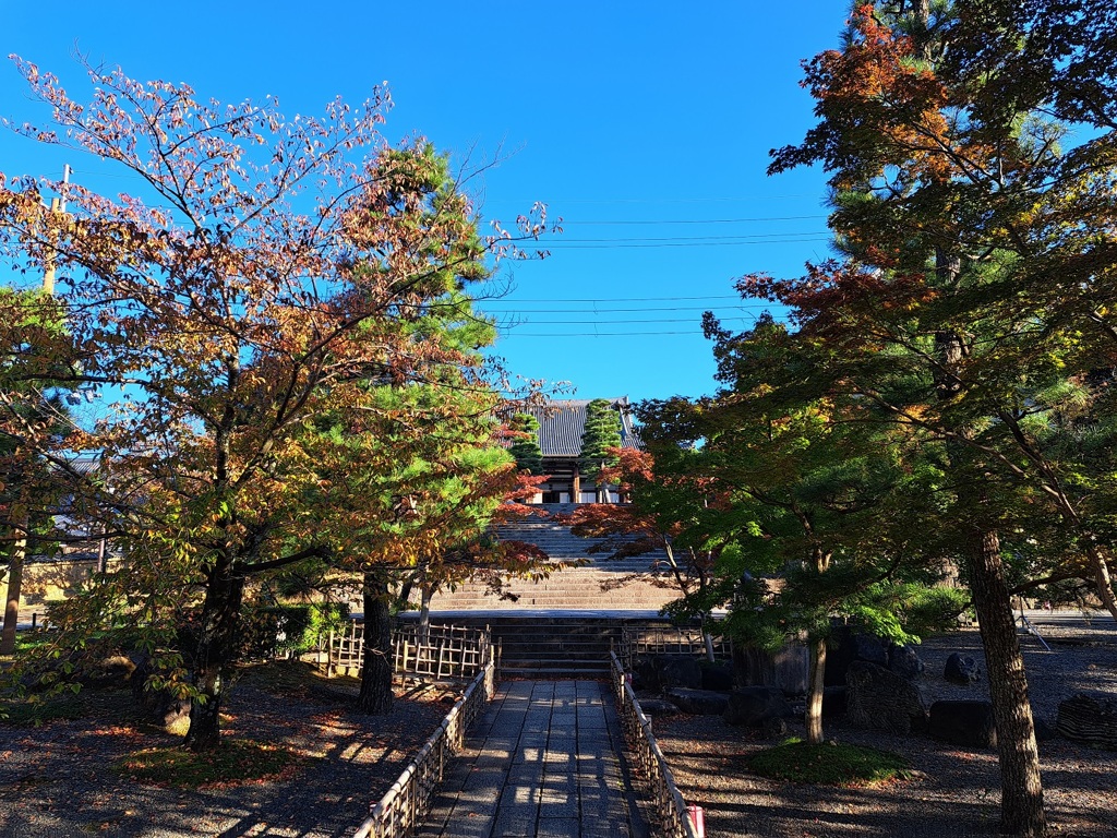 京都散歩（3）