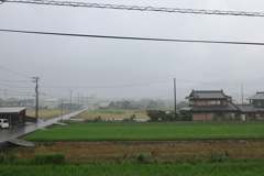 もうすぐ梅雨明けかな・・・