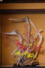 古民家と洋ラン・・・③