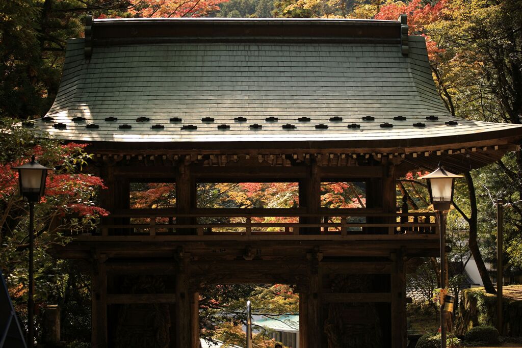 紅葉に映える山門・・・