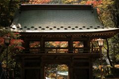 紅葉に映える山門・・・