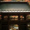 紅葉に映える山門・・・