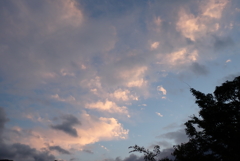 雨上がりの空・・・