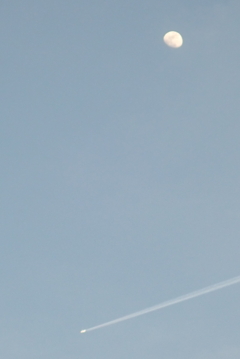 月と飛行機雲・・・