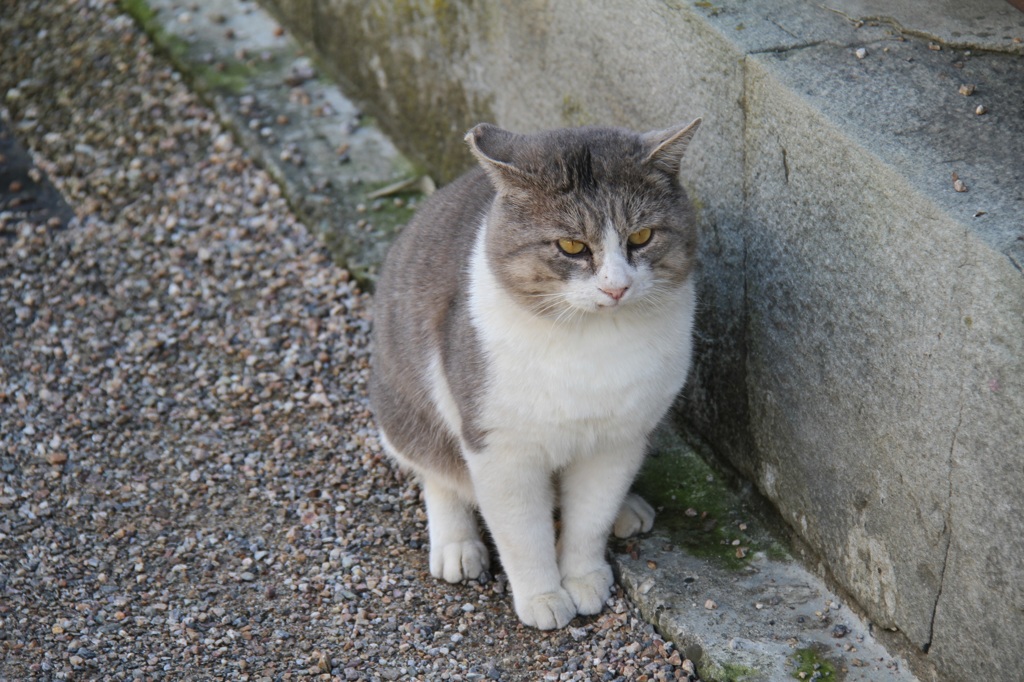 お行儀よく！