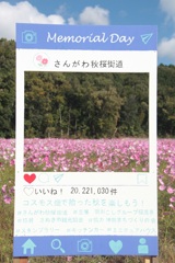 インスタ映え！
