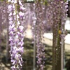 初夏の陽気・・・
