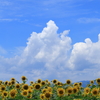 夏空・・・