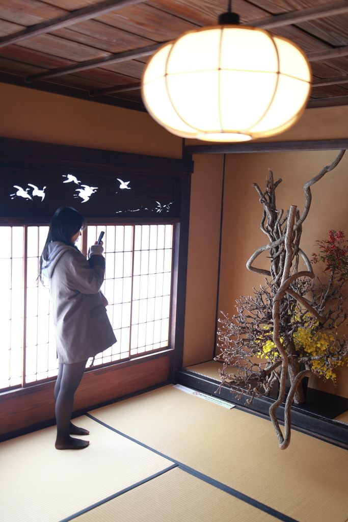 やわらかな光・・・