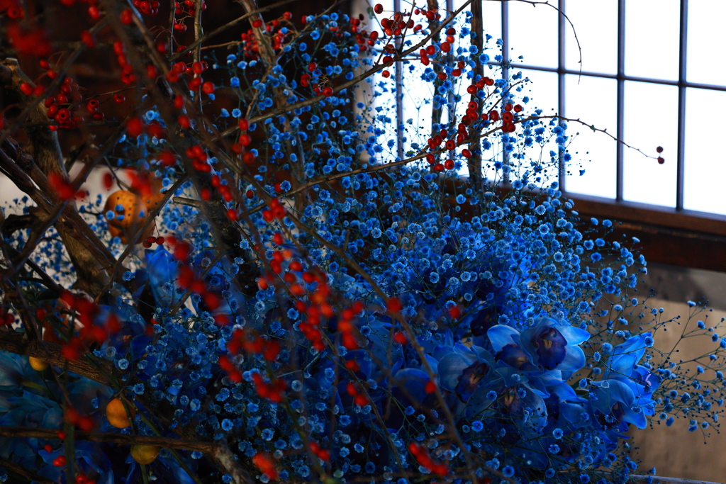 蒼い静寂・・・