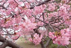 初春を満喫・・・