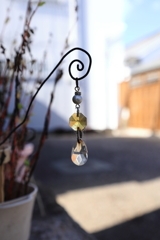 お散歩写真・・・④