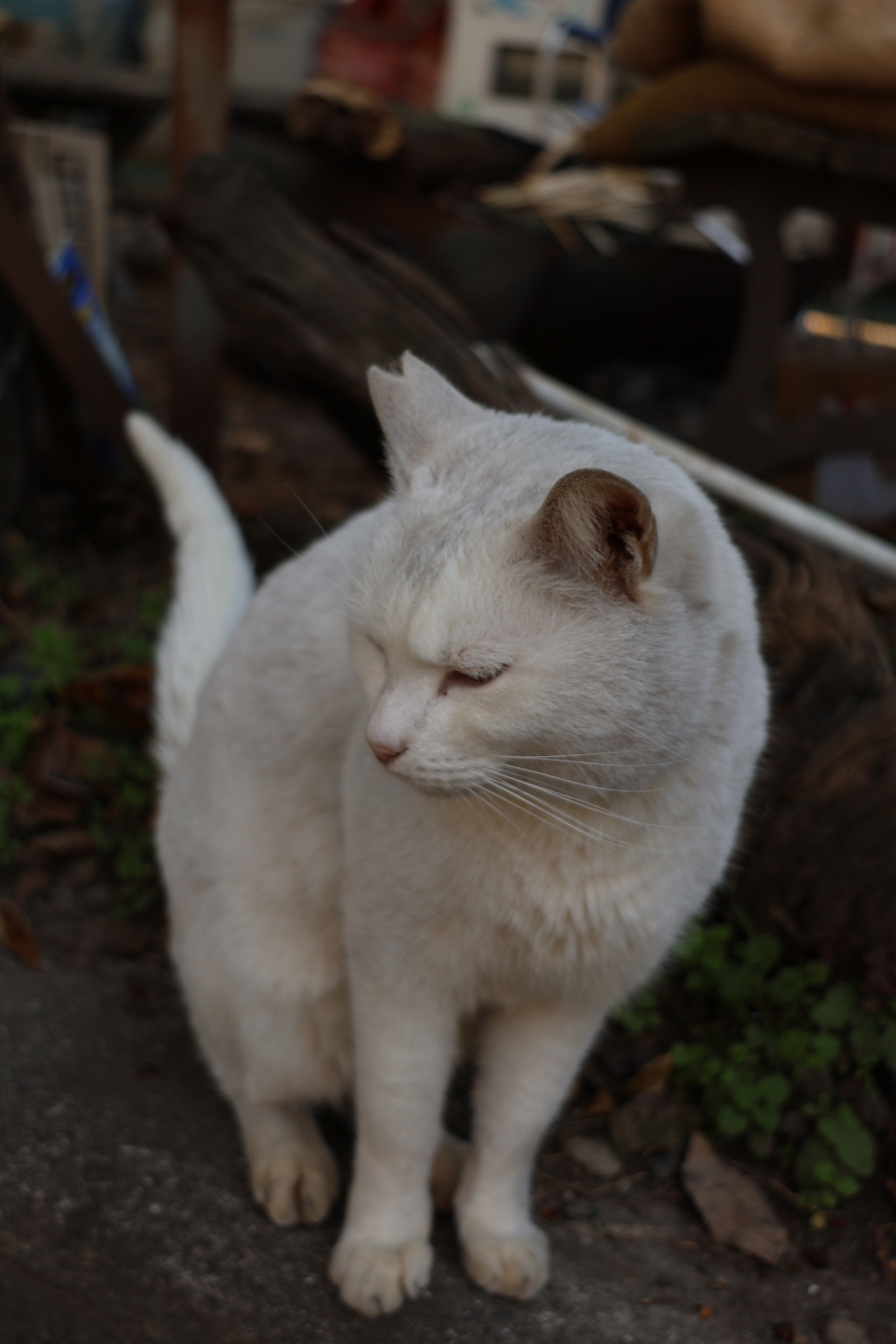 寝起き・・・