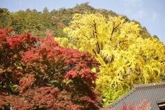 ツーショット・・・