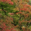 まだ早かったかな・・・