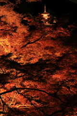 ライトアップ・・・③