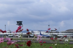 秋の空港・・・②