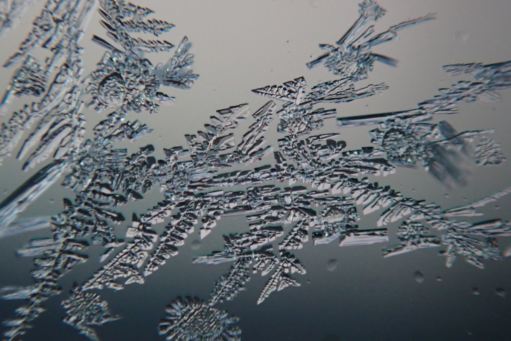 自然の織り成す芸術・・・