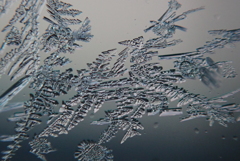 自然の織り成す芸術・・・