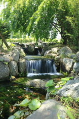 今年の夏も暑くなりそう・・・