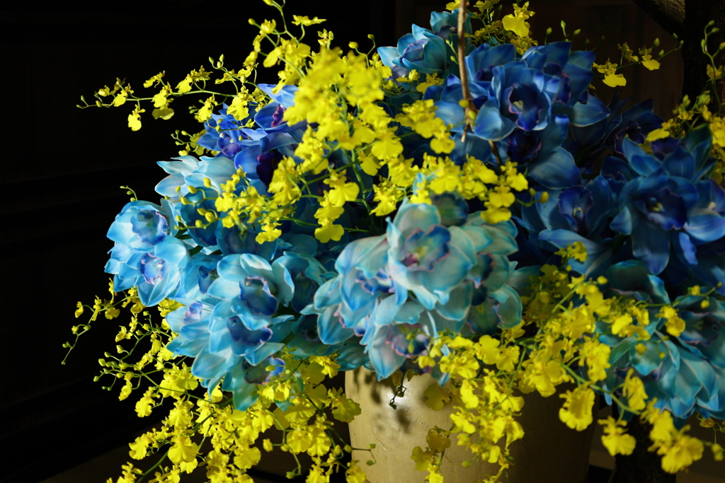 シンビジウムの魅力・・・