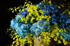 シンビジウムの魅力・・・