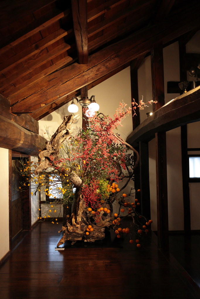 古民家と洋ラン・・・④