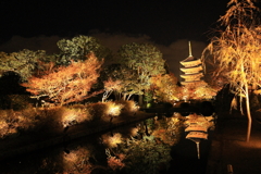 ライトアップ・・・⑤