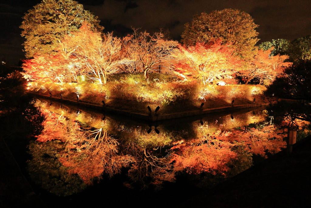 ライトアップ・・・④