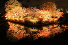 ライトアップ・・・④