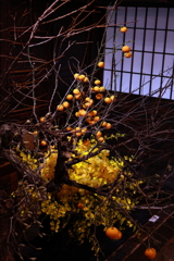 古民家と洋ラン・・・⑤