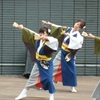 よさこい⑤