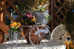 お花を運びます・・・