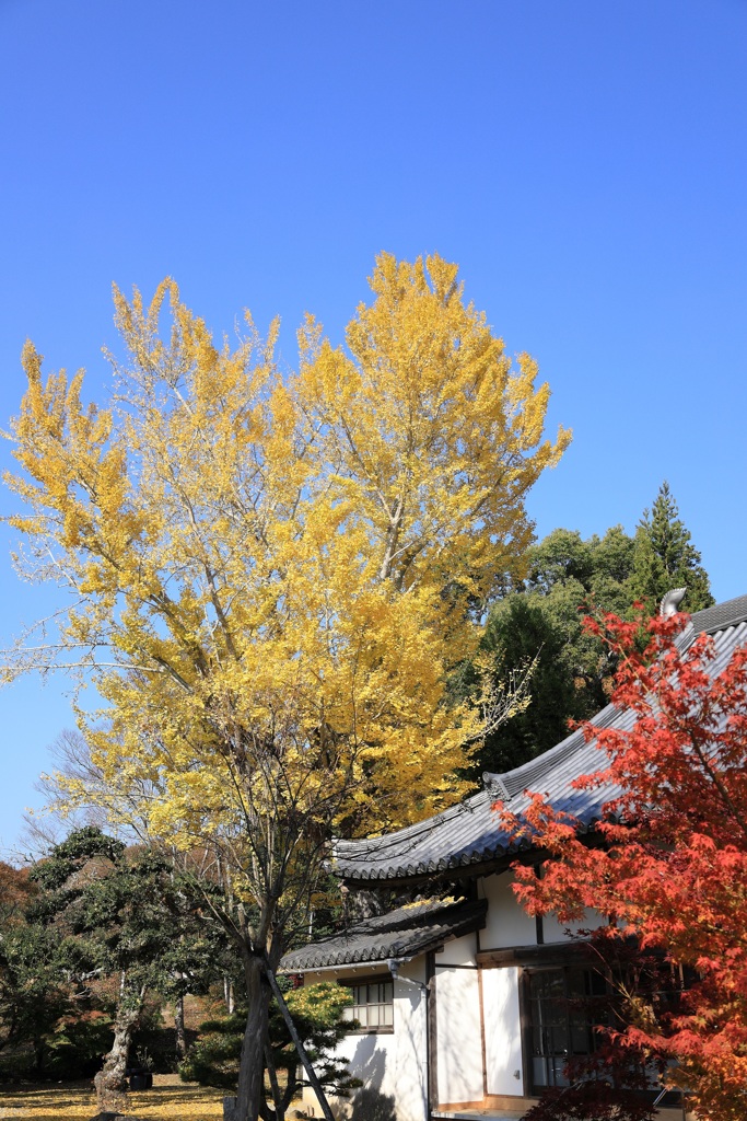 爽やかな一日・・・