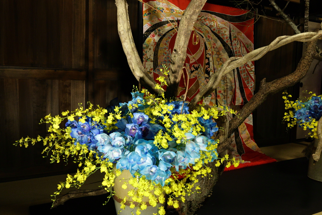 和と洋の競演・・・