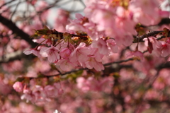 春の陽だまり・・・