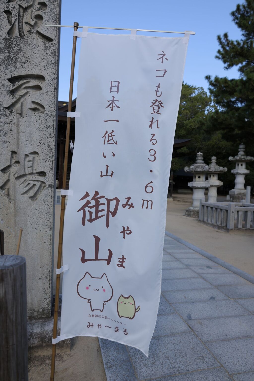 ネコも登れる・・・