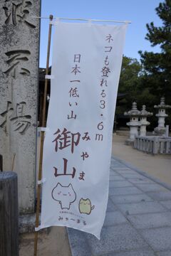 ネコも登れる・・・ ネコも登れる・・・