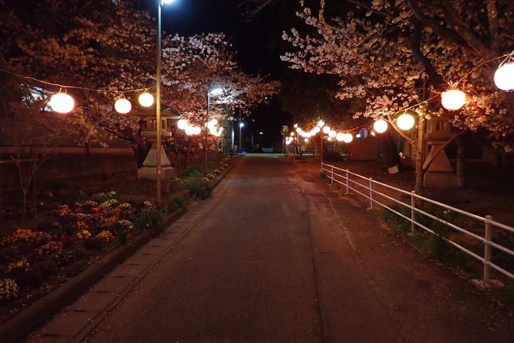 田舎の道・・・