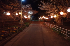 田舎の道・・・