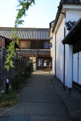 日陰と日向・・・