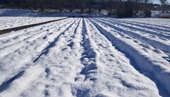 雪景色・・・