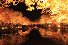 ライトアップ・・・⑥